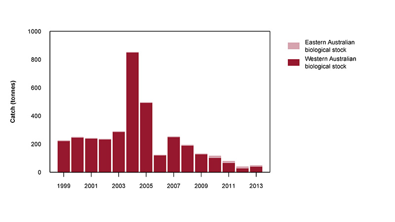 Figure 2: Commercial catch of Sandbar Shark in Australian waters, 1998 to 2013 (calendar years)