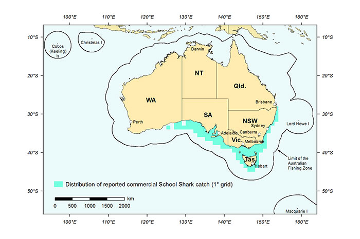 Figure 1: Distribution of reported commercial catch of School Shark in Australian waters, 2010 