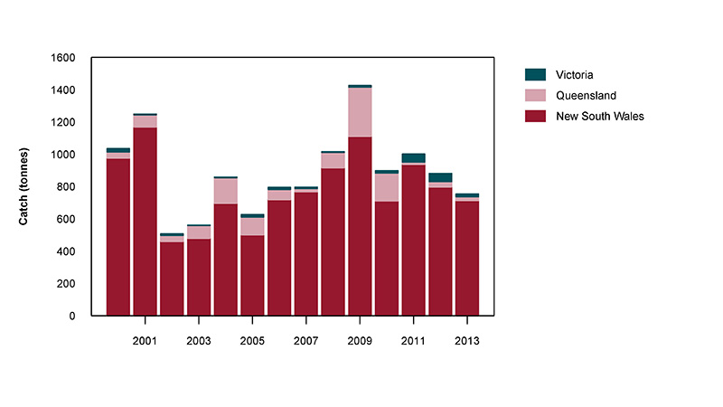 Figure 2: Commercial catch of School Prawns in Australian waters, 2001 to 2013 (calendar years)