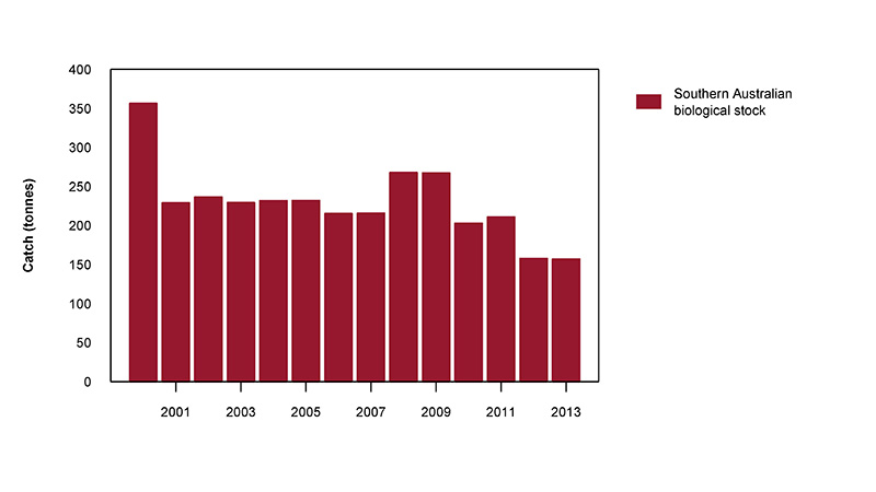 Figure 2: Commercial catch of School Shark in Australian waters, 1970 to 2013 (calendar years)