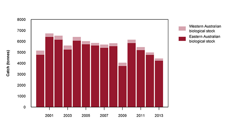 2a) a) Commercial catch of Sea Mullet in Australian waters, 2000–10 (calendar year)