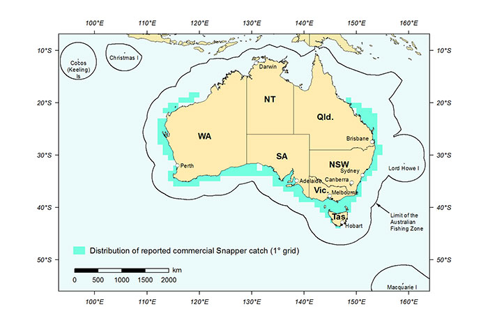 Figure 1: Distribution of reported commercial catch of Snapper in Australian waters, 2013 (calendar year)