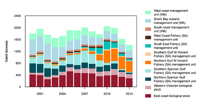 Figure 2: Commercial catch of Snapper in Australian waters, 2000 to 2013 (calendar years)