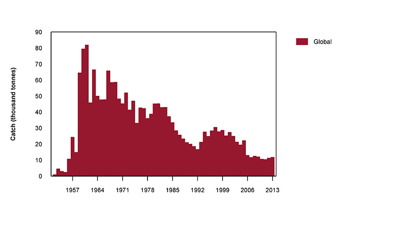 Figure 2: Global commercial catch of Southern Bluefin Tuna, 1952 to 2013 (calendar years)