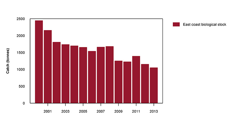 Figure 2: Commercial catch of Spanner Crab in Australian waters, 2000 to 2013 (calendar years)