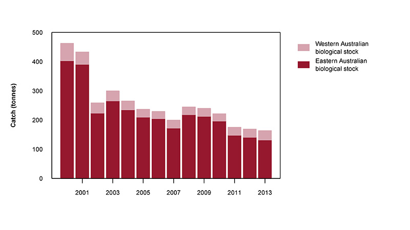 Figure 2: Commercial catch of Tailor in Australian waters, 2000 to 2013 (calendar years)