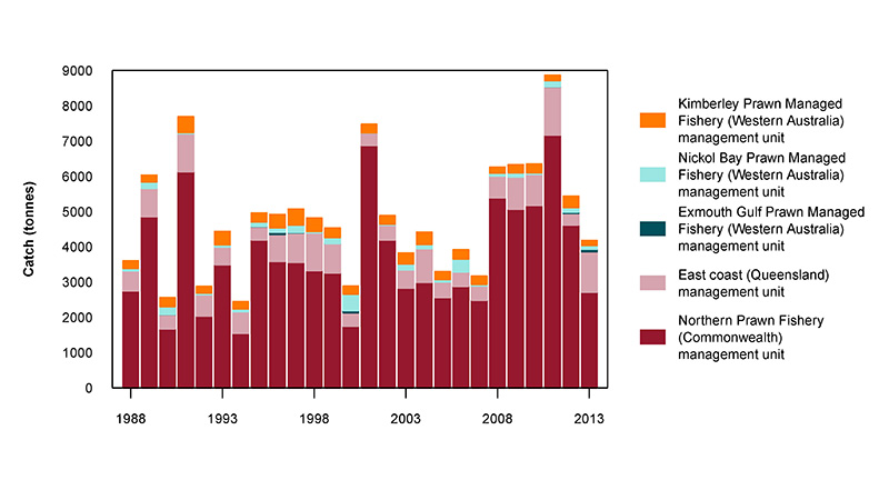 Figure 2: Commercial catch of White Banana Prawn in Australian waters, 1988 to 2013 (calendar years)