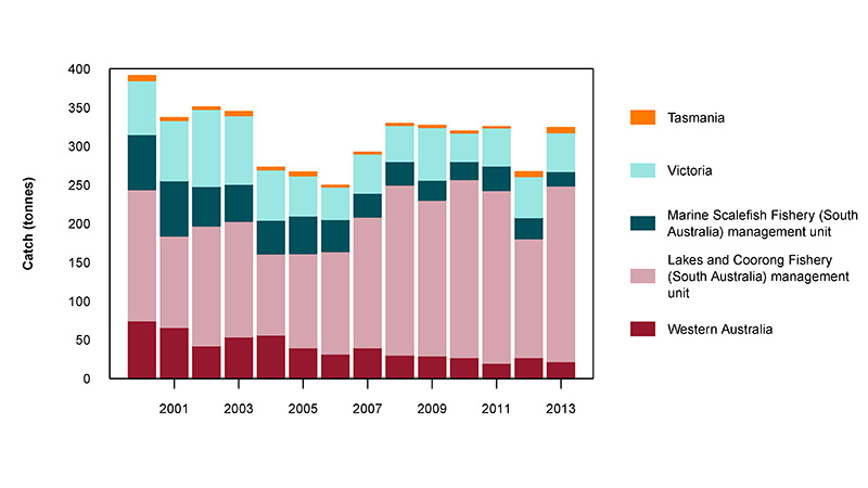 Figure 2: Commercial catch of Yelloweye Mullet in Australian waters, 2000 to 2013 (calendar years) 