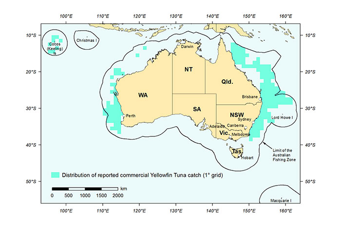 Figure 1: Distribution of reported commercial catch of Yellowfin Tuna in Australian Fisheries, 2013 (calendar year)