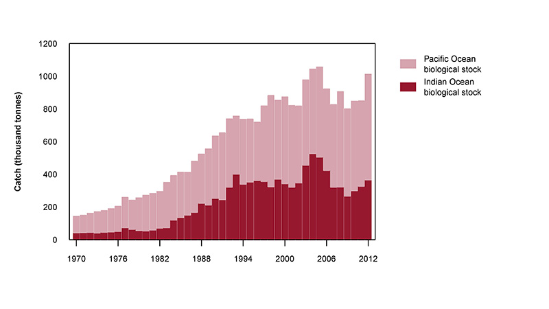 Figure 2: Commercial catch of Yellowfin Tuna in the Western and Central Pacific Fisheries Commission and Indian Ocean Tuna Commi
